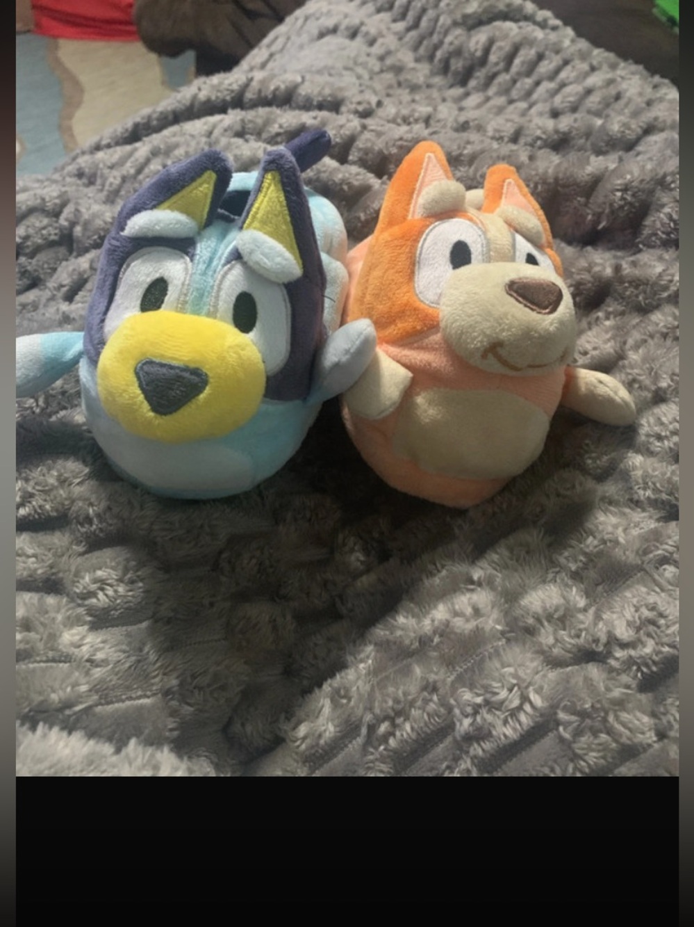 NWOT Size 7/8 Toddler Bluey and Bingo slippers